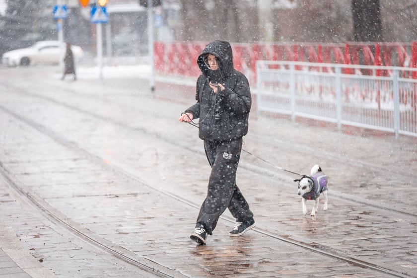 Śnieg we Wrocławiu, 11.01.2025