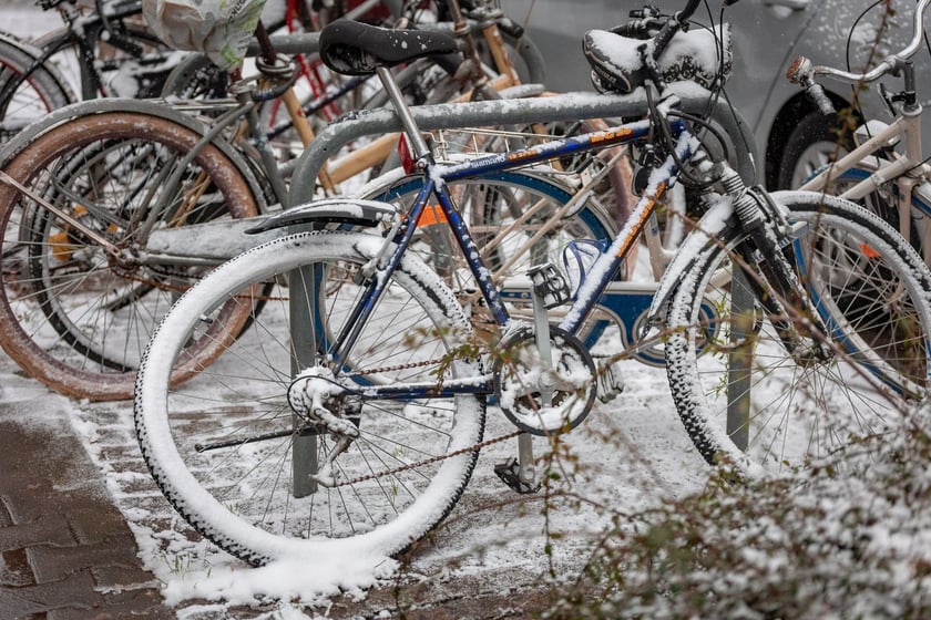 Śnieg we Wrocławiu, 11.01.2025