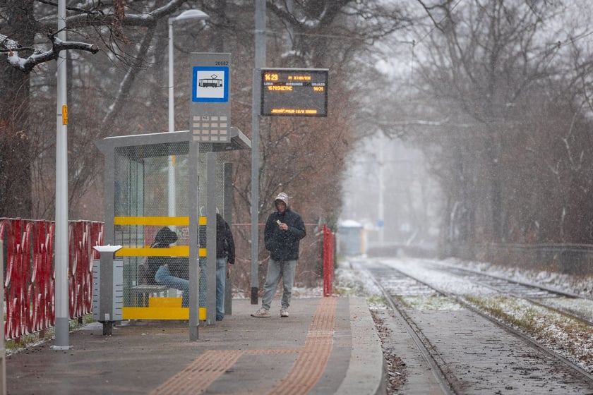 Śnieg we Wrocławiu, 11.01.2025