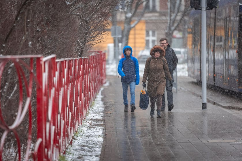 Śnieg we Wrocławiu, 11.01.2025