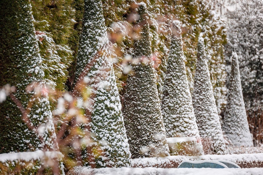 Ogród botaniczny zimą jest piękny. Na zewnątrz śnieg, a w szklarniach przenosimy się do innej strefy klimatycznej