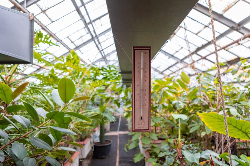 Ogród botaniczny zimą jest piękny. Na zewnątrz śnieg, a w szklarniach przenosimy się do innej strefy klimatycznej