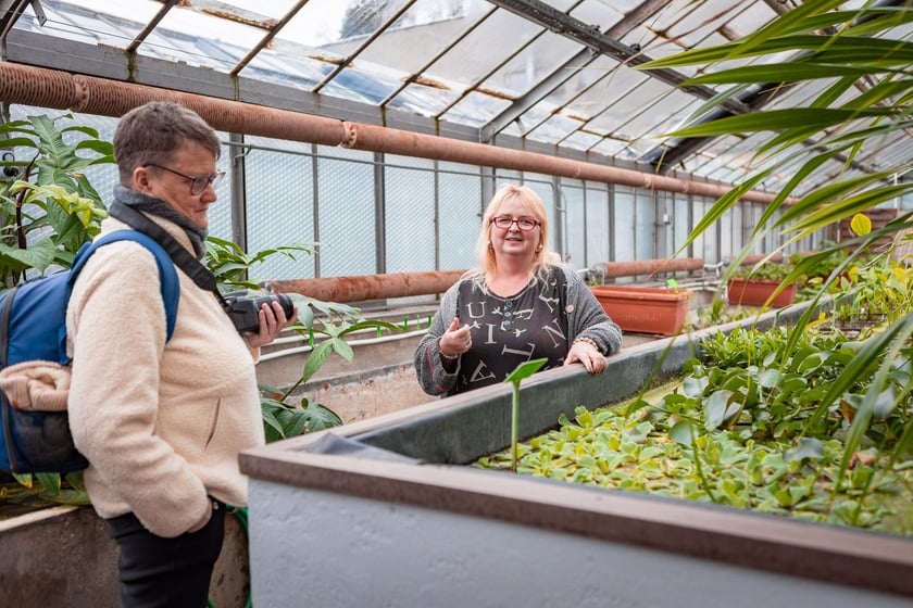 Ogród botaniczny zimą jest piękny. Na zewnątrz śnieg, a w szklarniach przenosimy się do innej strefy klimatycznej