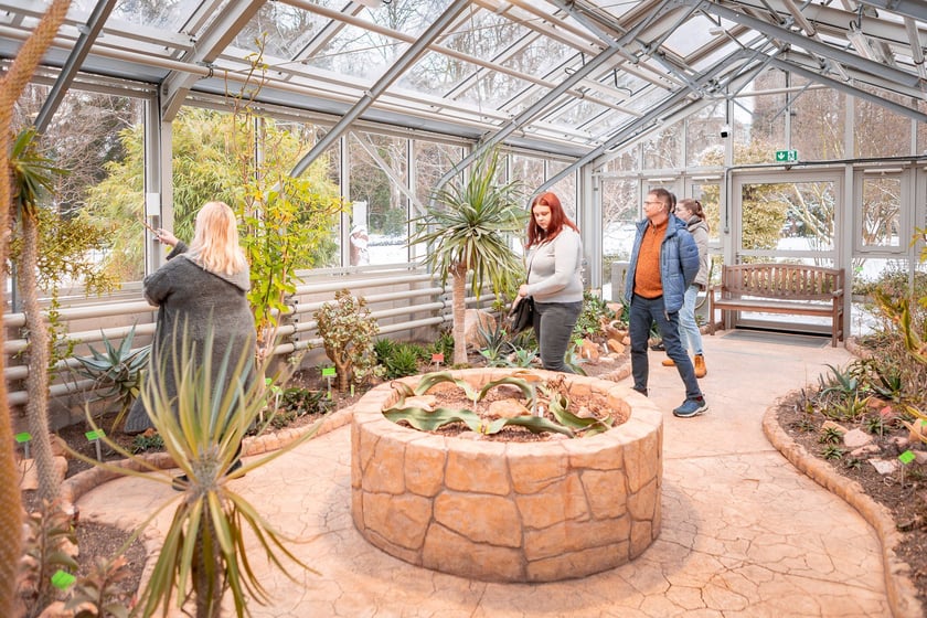 Ogród botaniczny zimą jest piękny. Na zewnątrz śnieg, a w szklarniach przenosimy się do innej strefy klimatycznej