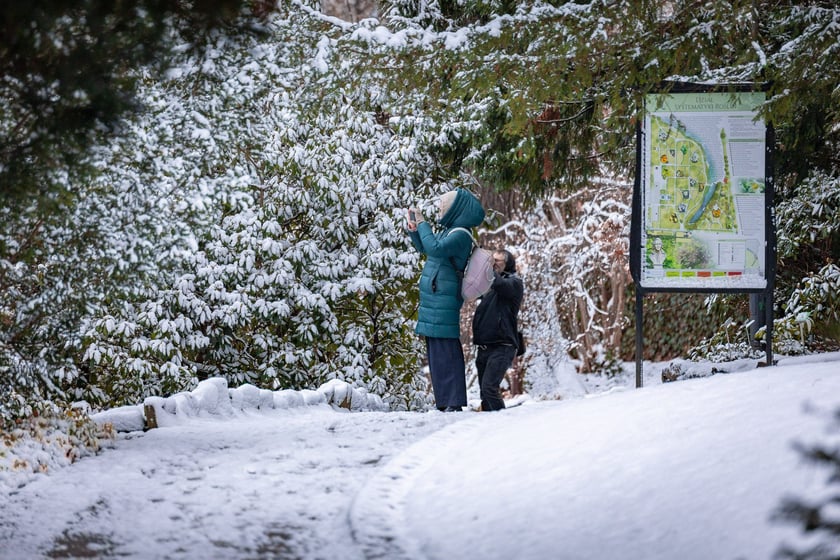 Ogród botaniczny zimą jest piękny. Na zewnątrz śnieg, a w szklarniach przenosimy się do innej strefy klimatycznej