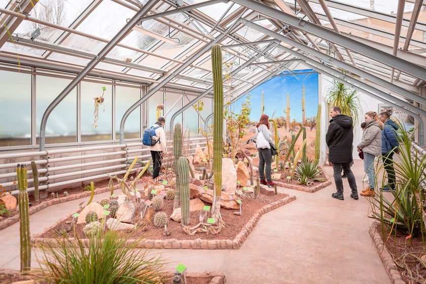 Ogród botaniczny zimą jest piękny. Na zewnątrz śnieg, a w szklarniach przenosimy się do innej strefy klimatycznej
