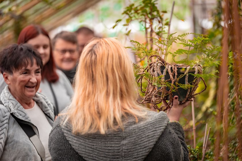 Ogród botaniczny zimą jest piękny. Na zewnątrz śnieg, a w szklarniach przenosimy się do innej strefy klimatycznej