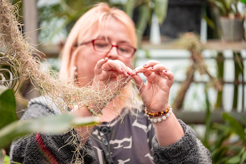 Ogród botaniczny zimą jest piękny. Na zewnątrz śnieg, a w szklarniach przenosimy się do innej strefy klimatycznej