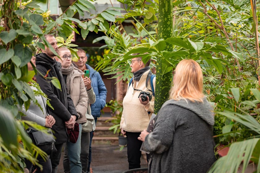 Ogród botaniczny zimą jest piękny. Na zewnątrz śnieg, a w szklarniach przenosimy się do innej strefy klimatycznej