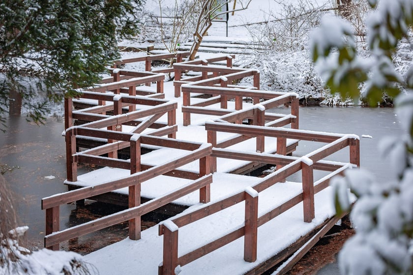 Ogród botaniczny zimą jest piękny. Na zewnątrz śnieg, a w szklarniach przenosimy się do innej strefy klimatycznej