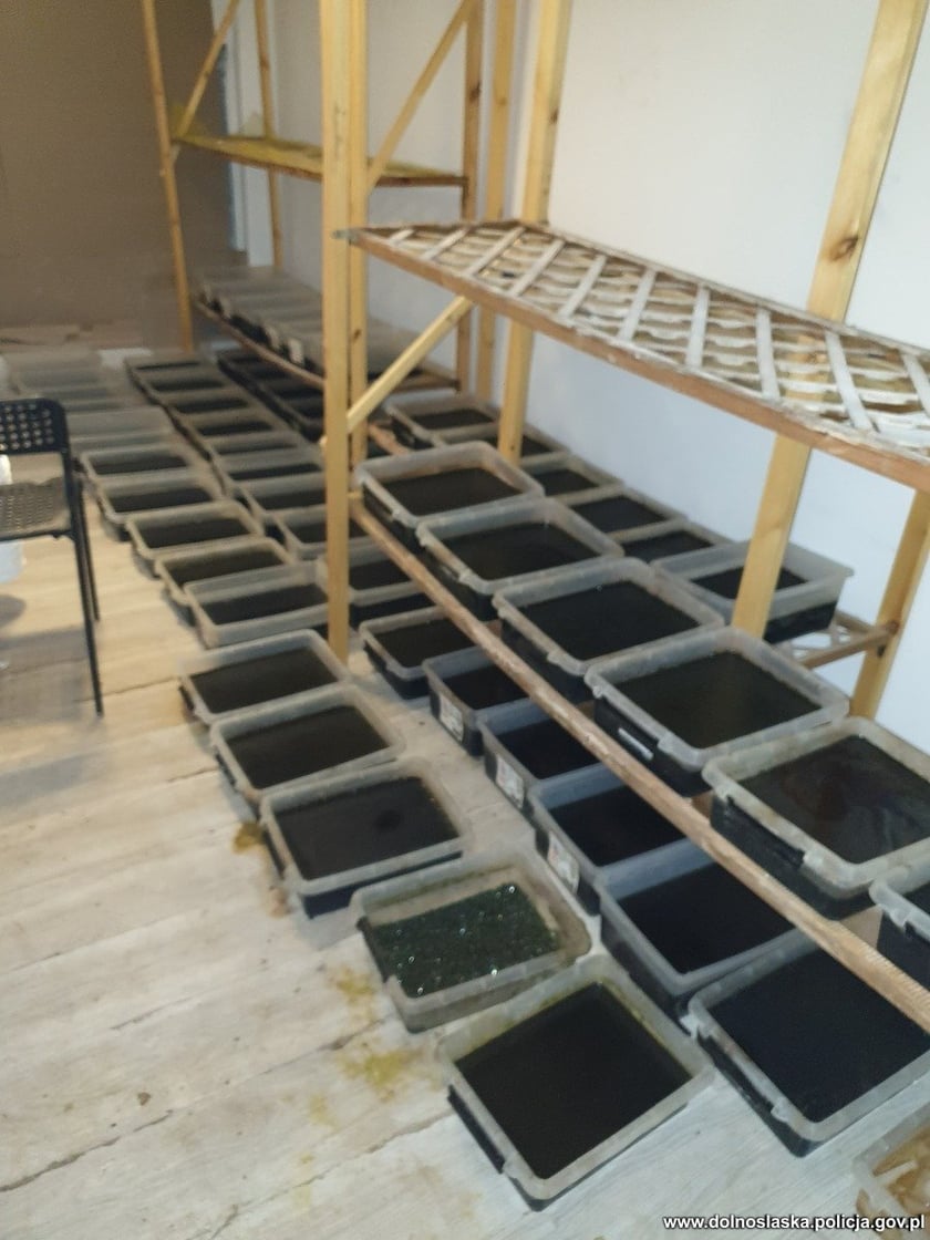 Likwidacja gigantycznej fabryki narkotyków