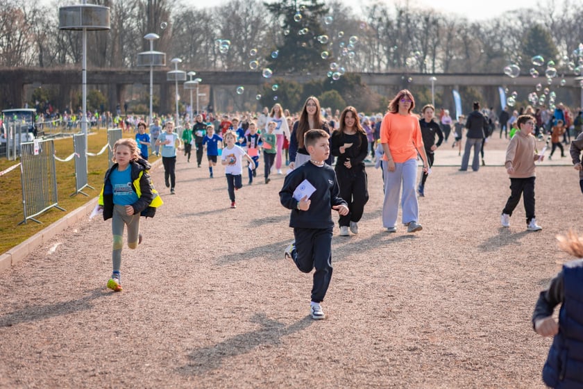 Wrocławski Bieg Sponsorowany 2025 wokół Pergoli
