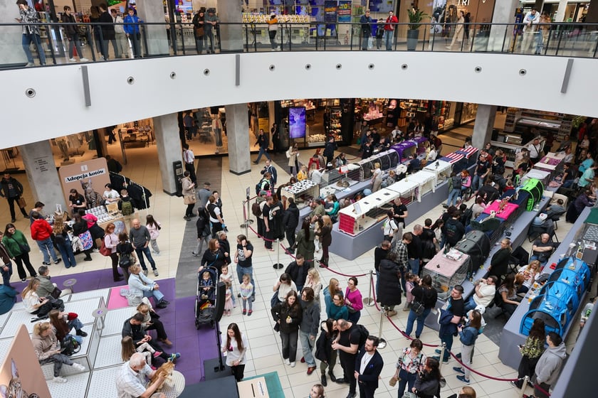 Pokaz Kotów Rasowych we Wrocławiu