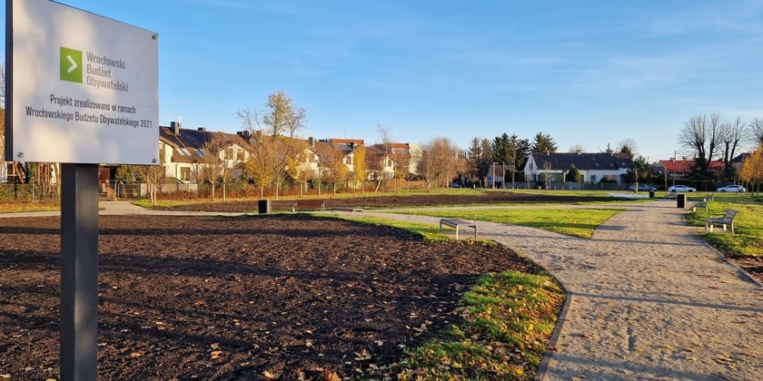 Park na Klecinie, listopad 2024