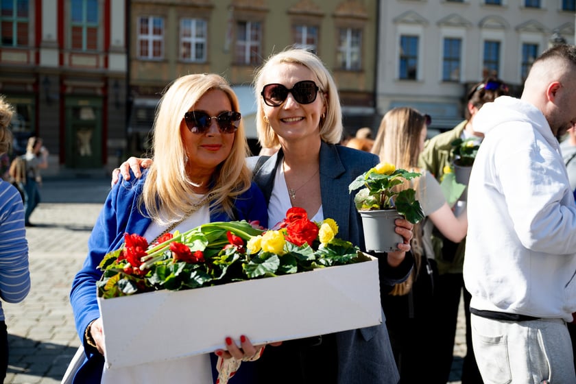 Inauguracja konkursu Ukwiecamy Wrocław w kolorach Wrocławia 2025 na rynku