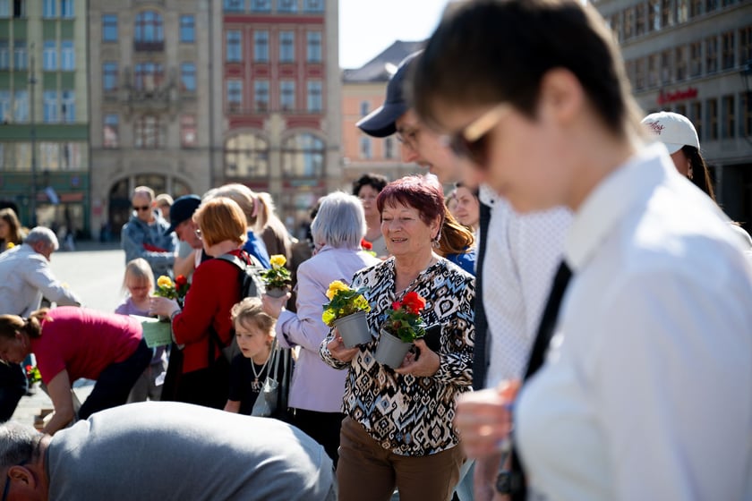 Inauguracja konkursu Ukwiecamy Wrocław w kolorach Wrocławia 2025 na rynku