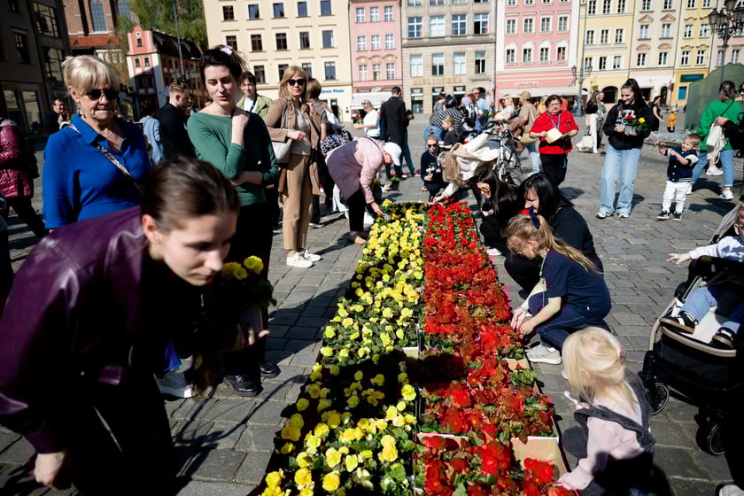 Inauguracja konkursu Ukwiecamy Wrocław w kolorach Wrocławia 2025 na rynku