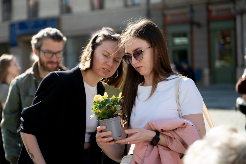 Inauguracja konkursu Ukwiecamy Wrocław w kolorach Wrocławia 2025 na rynku
