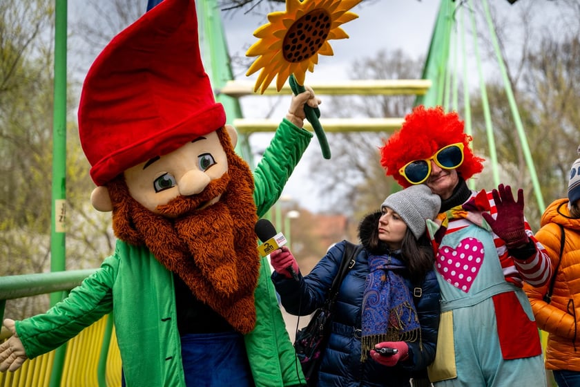 Odsłonięcie figurki krasnala Raciworka przy Kładce Złotnickiej