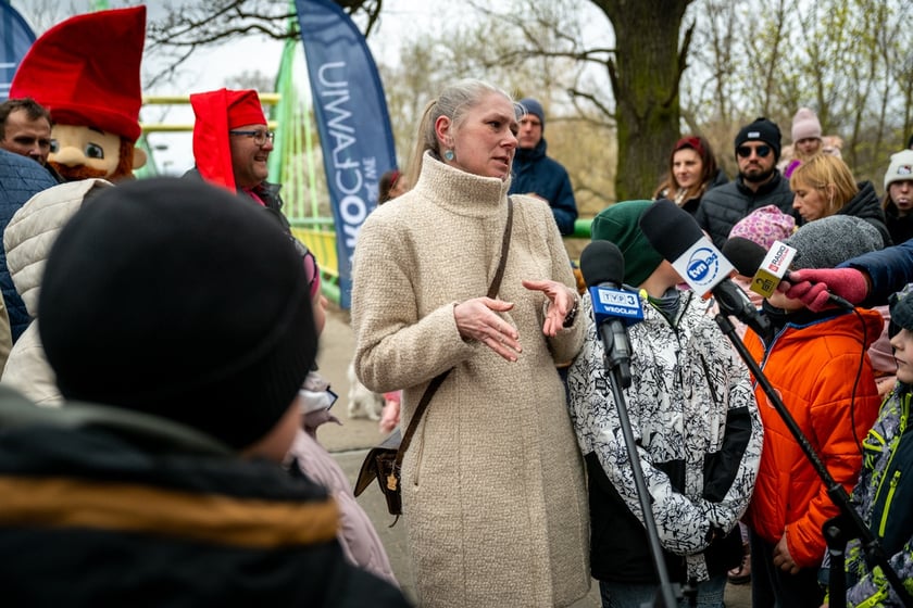 Odsłonięcie figurki krasnala Raciworka przy Kładce Złotnickiej