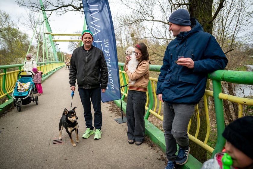 Odsłonięcie figurki krasnala Raciworka przy Kładce Złotnickiej