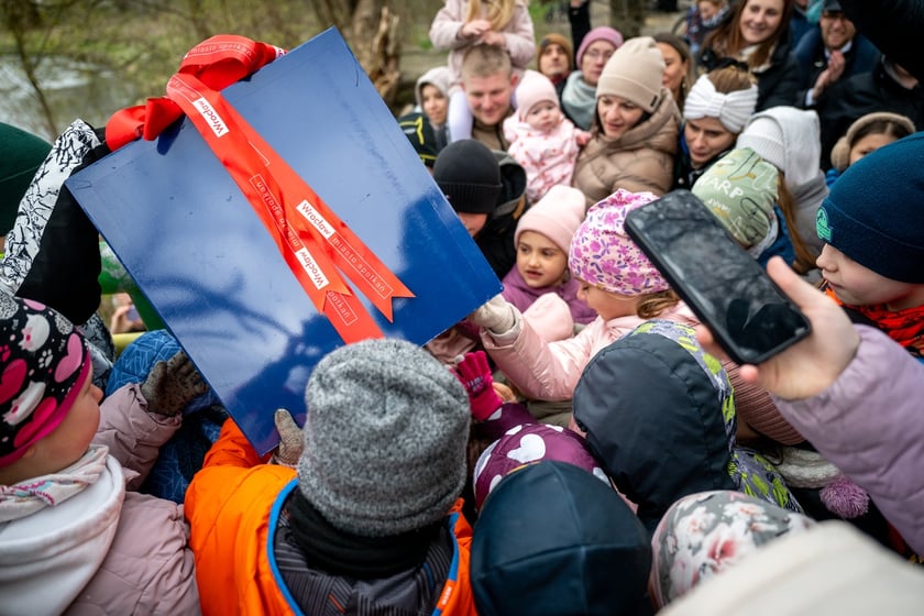 Odsłonięcie figurki krasnala Raciworka przy Kładce Złotnickiej