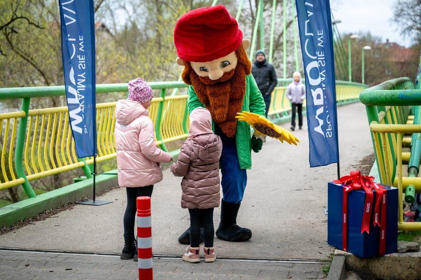 Odsłonięcie figurki krasnala Raciworka przy Kładce Złotnickiej