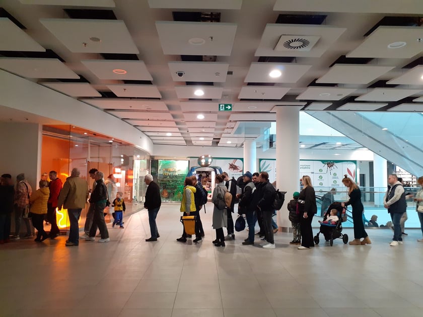 Kolejka do windy w Sky Tower 8 kwietnia