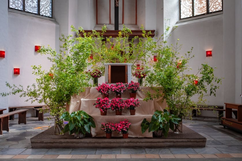 Kościół Rektoralny św. Macieja we Wrocławiu