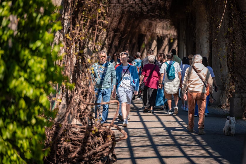 Wrocławianie na spacerach. Park Szczytnicki, Wielkanoc 20.04.2025