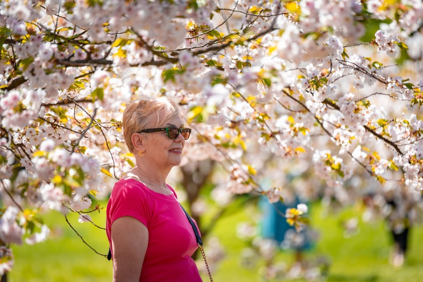 Wrocławianie na spacerach. Park Szczytnicki, Wielkanoc 20.04.2025