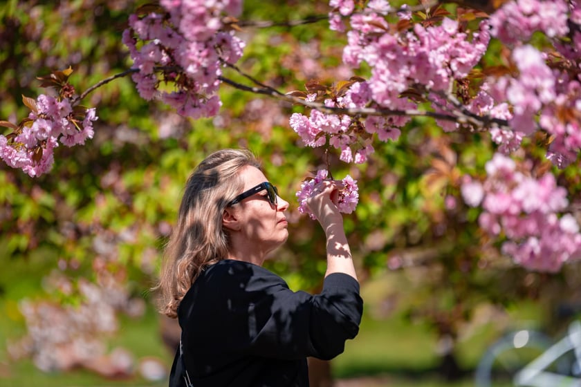 Wrocławianie na spacerach. Park Szczytnicki, Wielkanoc 20.04.2025