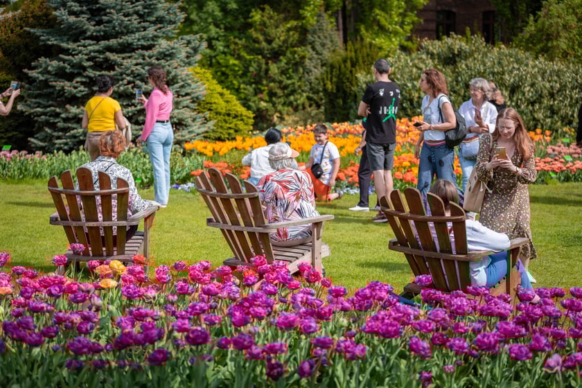 W Ogrodzie Botanicznym UWr 21 kwietnia 2025 roku
