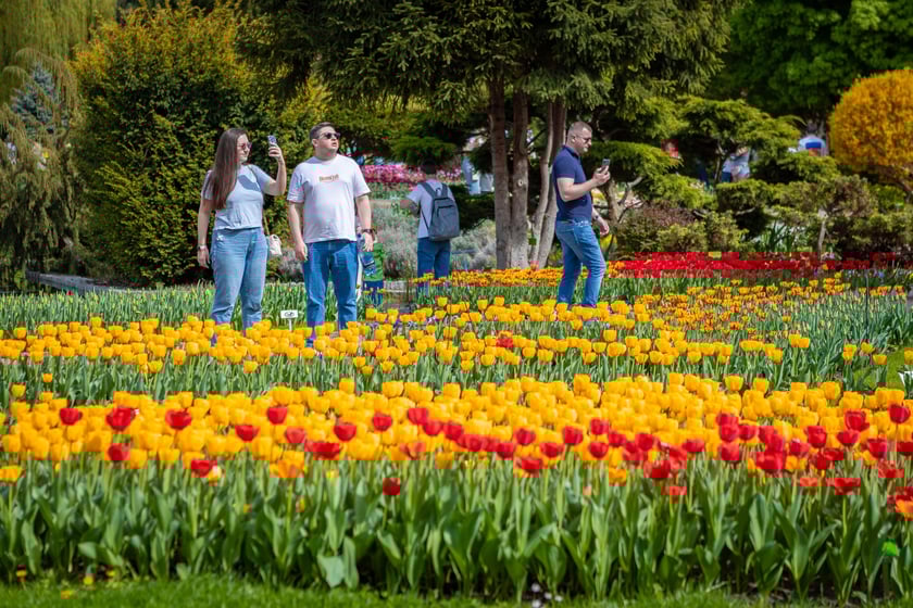W Ogrodzie Botanicznym UWr 21 kwietnia 2025 roku