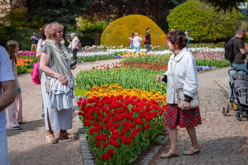 W Ogrodzie Botanicznym UWr 21 kwietnia 2025 roku