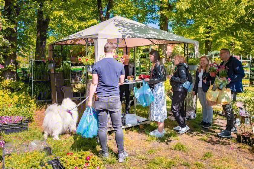 Kiermasz ogrodniczy na Partynicach - 26.04.2025