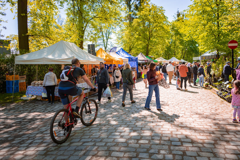 Kiermasz ogrodniczy na Partynicach - 26.04.2025