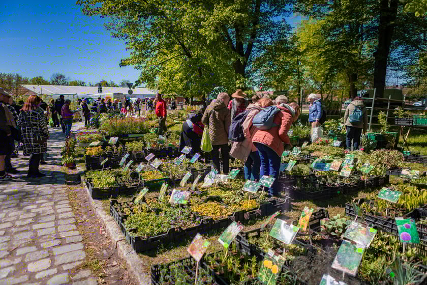 Kiermasz ogrodniczy na Partynicach - 26.04.2025