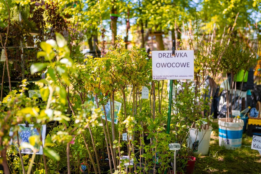 Kiermasz ogrodniczy na Partynicach - 26.04.2025