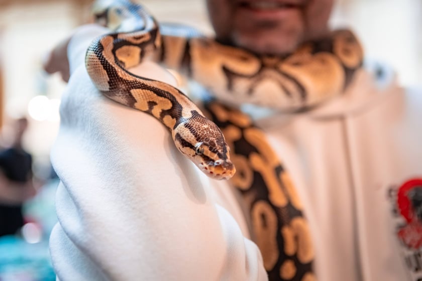 Targi Exoticarium w budynku NOT (4 maja 2025)