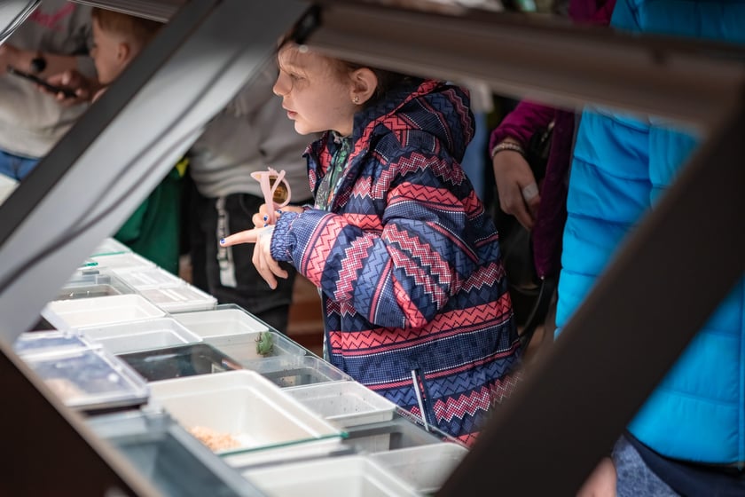 Targi Exoticarium w budynku NOT (4 maja 2025)