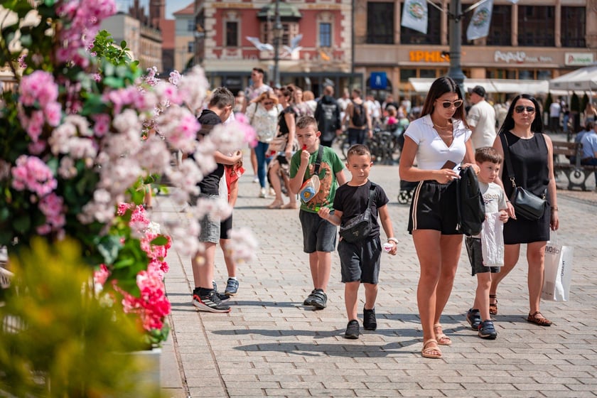 Majówka 2025 we Wrocławiu