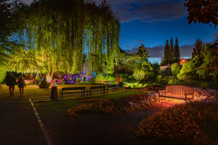 Iluminacje tulipan&oacute;w 2 Ogrodzie Botanicznym 2025