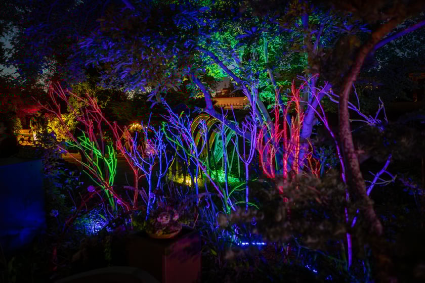 Iluminacje tulipan&oacute;w 2 Ogrodzie Botanicznym 2025