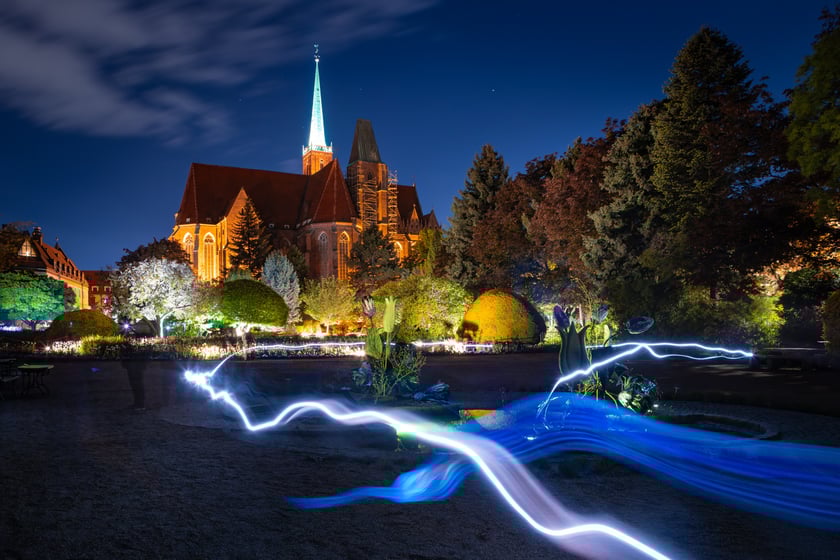 Iluminacje tulipan&oacute;w 2 Ogrodzie Botanicznym 2025