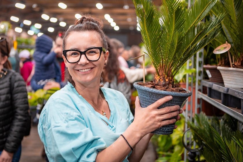 Festiwal Roślin w Czasoprzestrzeni we Wrocławiu