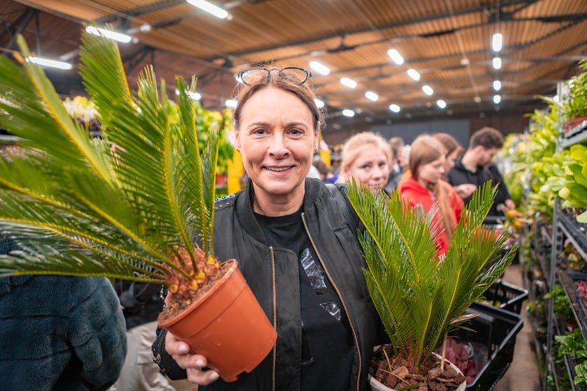 Festiwal Roślin w Czasoprzestrzeni we Wrocławiu