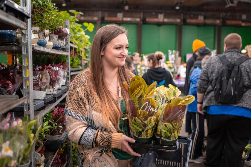 Festiwal Roślin w Czasoprzestrzeni we Wrocławiu