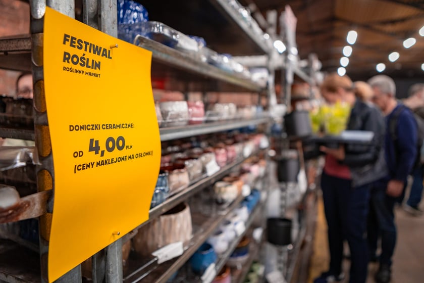 Festiwal Roślin w Czasoprzestrzeni we Wrocławiu