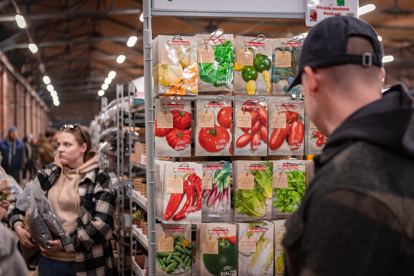 Festiwal Roślin w Czasoprzestrzeni we Wrocławiu